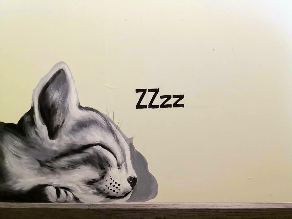 パッタヤー Asleep By Lantanaホステル エクステリア 写真